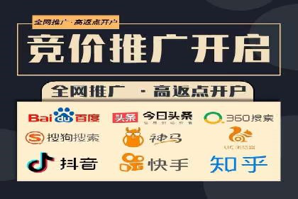 百度推广与SEO结合案例：提升网站排名的技巧